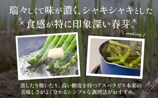 柔らかさと甘みが際立つ さぬきのめざめ春芽 約1kg【2025-3月上旬～2025-4月下旬配送】