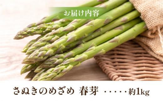 柔らかさと甘みが際立つ さぬきのめざめ春芽 約1kg【2025-3月上旬～2025-4月下旬配送】