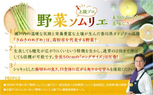 柔らかさと甘みが際立つ さぬきのめざめ春芽 約1kg【2025-3月上旬～2025-4月下旬配送】