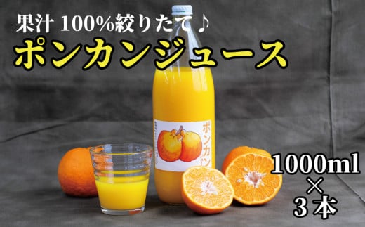 【太地町産】南紀たいじの【完熟】ポンカンジュース3本セット ぽんかん ポンカン ジュース 果汁 100% 太地 みかん みかんジュース ミカン【okm100】