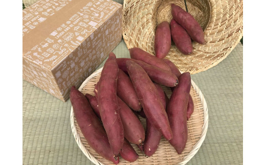 KBE-58　焼き芋好きのためのさつま芋　紅はるか5kg【茨城県共通返礼品・行方市産】