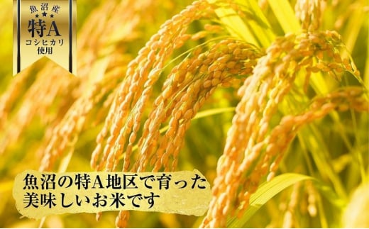 新潟県 魚沼産 備蓄 コシヒカリ ご飯 200g×30 パック ごはん レンジ 簡単 巣籠り 無添加