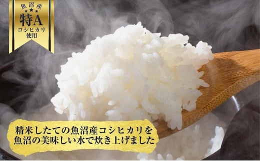 新潟県 魚沼産 備蓄 コシヒカリ ご飯 200g×30 パック ごはん レンジ 簡単 巣籠り 無添加