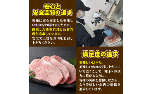 宮崎牛 サーロインステーキ(計800g・約200g×4枚)  牛肉 肉 ブランド牛  冷凍 国産 精肉 お取り寄せ 黒毛和牛 宮崎県 【LJ003】【レグセントジョイラー株式会社】