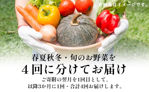 京野菜詰め合わせ お届け野菜定期便 ～春夏秋冬 年４回～ ／ ふるさと納税 京野菜 野菜 詰め合わせ 詰合せ つめあわせ 詰合 農薬不使用 産地直送 新鮮 新鮮野菜 旬の野菜 旬 京都府 福知山市 FCCN013