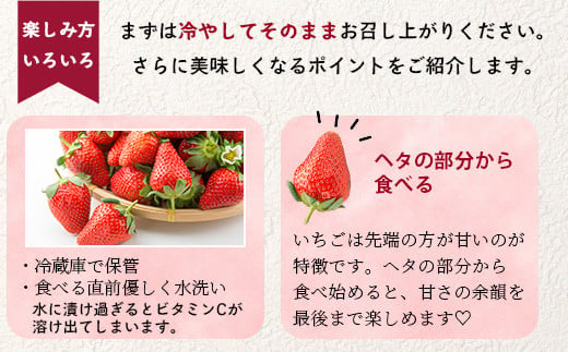 【2025年3月～発送開始】熊本県産 いちご ゆうべに 2箱 (250g×8パック)