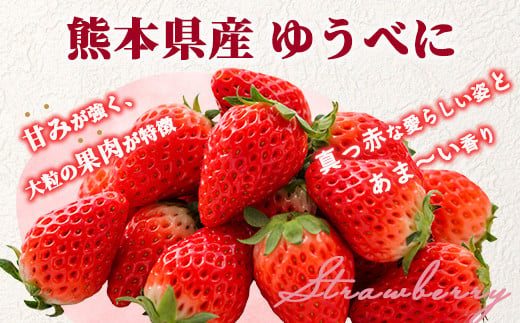 【2025年3月～発送開始】熊本県産 いちご ゆうべに 2箱 (250g×8パック)