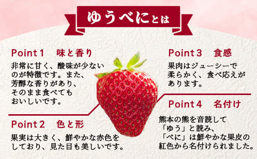 【2025年3月～発送開始】熊本県産 いちご ゆうべに 2箱 (250g×8パック)