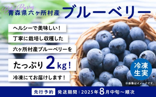 《先行予約 2025年8月中旬～順次出荷》 青森県 六ヶ所村産 ブルーベリー 冷凍生実 2kg