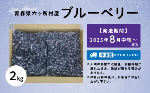 《先行予約 2025年8月中旬～順次出荷》 青森県 六ヶ所村産 ブルーベリー 冷凍生実 2kg