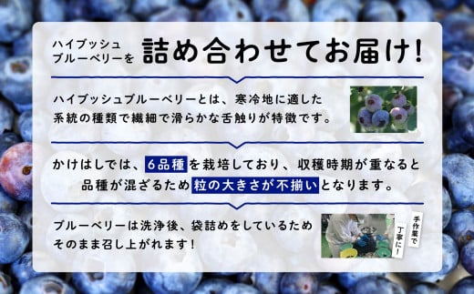 《先行予約 2025年8月中旬～順次出荷》 青森県 六ヶ所村産 ブルーベリー 冷凍生実 2kg