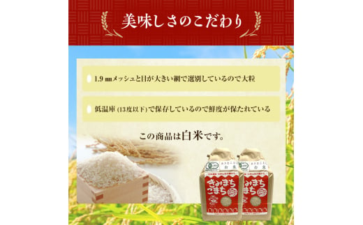 《定期便9ヶ月》【白米】JAS有機米 きみまちこまち 4kg （2kg×2袋）秋田県産 あきたこまち 令和6年産