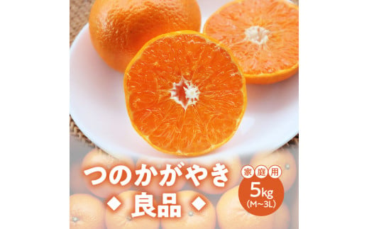 【期間・数量限定！】奄美つのかがやき＜良品＞5kg D.B（3L～Mサイズ）【家庭用】　A070-008