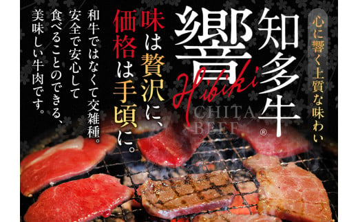 国産 牛肉 カルビ 焼肉 用 700g 4人前 ( 350g × 2P ) 知多牛 響 国産牛 冷凍 お肉 肉 バーベキュー BBQ 夏 家族 ご飯 料理 小分け パック 人気 おすすめのカルビ 愛知県 南知多町 【離島不可】焼肉用カルビ 焼肉  肉 牛肉 バーベキュー BBQ 鉄板焼 ふるさと納税カルビ 国産カルビ 国産牛肉 国産牛 冷凍カルビ 小分けで便利 知多牛 冷凍牛肉 ご褒美 プレゼント