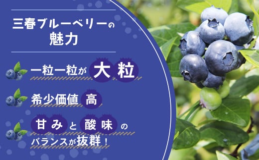 三春冷凍ブルーベリー 500g×4パック／計2kg 【三春町産 冷凍ブルーベリー 大粒 福島県 三春町 三春ブルーベリー倶楽部 有機質肥料 果物 国産 フルーツ 果実 旬 お中元 夏 ギフト プレゼント 贈り物 贈答】【07521-0108】