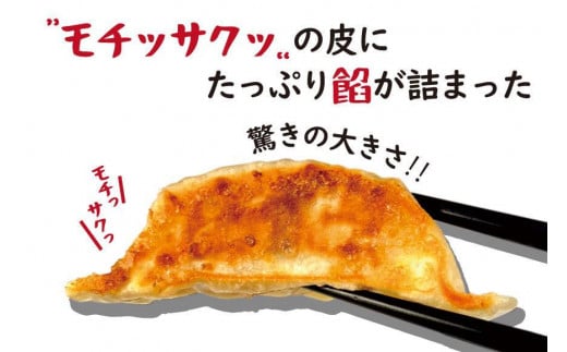 【大阪名物】大阪ふくちぁんスタミナ餃子 冷凍生餃子 72個 ［36個入×2セット］