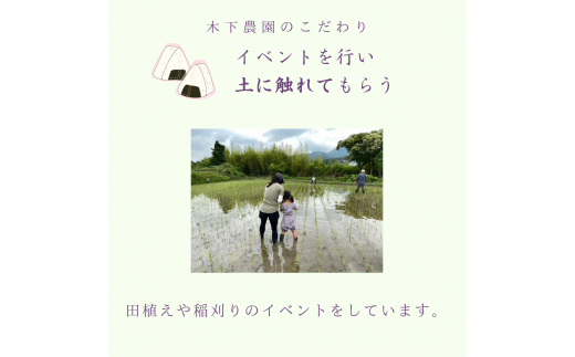 新米令和6年度産・農薬不使用『幻のお米農林22号』10キロ【7分づき】