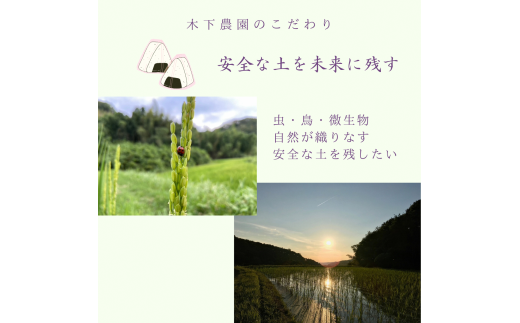 新米令和6年度産・農薬不使用『幻のお米農林22号』10キロ【7分づき】