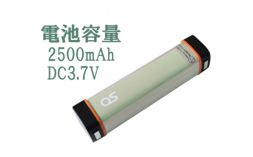 AG42　防水 LED チャージャー / グリーン （2500ｍAh）　【 モバイルバッテリー 照明 防水 防災 災害 アウトドア レジャー 蓄電機 充電器 】