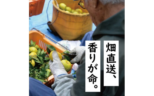 【年内発送】 ゆず茶 400g×3個セット ゆず 柚子 ジャム 有機 オーガニック ギフト お歳暮 お中元 のし 熨斗 産地直送 高知県 馬路村【500】