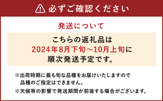 菊池市産 旬の梨 約2.5kg 品種おまかせ 幸水 豊水 秋月 新高 新興 果物