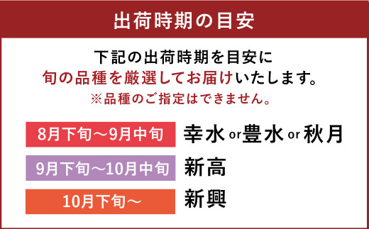 菊池市産 旬の梨 約2.5kg 品種おまかせ 幸水 豊水 秋月 新高 新興 果物