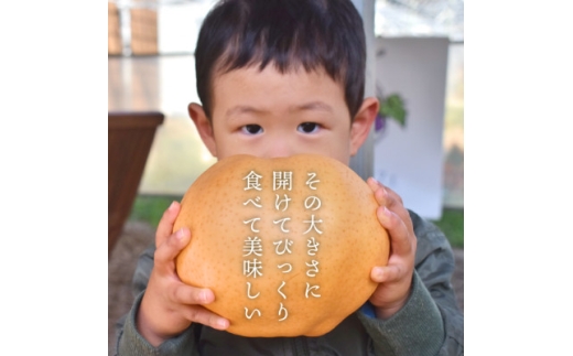 ＜2025年発送＞あたご梨 上級品 2玉入(1kg級/玉)(岡山県産)  お歳暮やギフトにおすすめ【1559830】