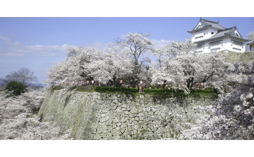 ＜2025年発送＞あたご梨 上級品 2玉入(1kg級/玉)(岡山県産)  お歳暮やギフトにおすすめ【1559830】