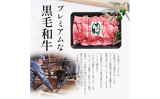 牛肉 小豆島オリーブ牛 切り落とし（300g×2パック） オリーブ牛 肉 オリーブ すき焼き しゃぶしゃぶ 小豆島 土庄