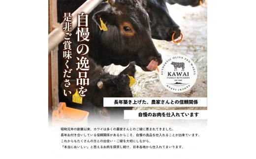 牛肉 小豆島オリーブ牛 切り落とし（300g×2パック） オリーブ牛 肉 オリーブ すき焼き しゃぶしゃぶ 小豆島 土庄