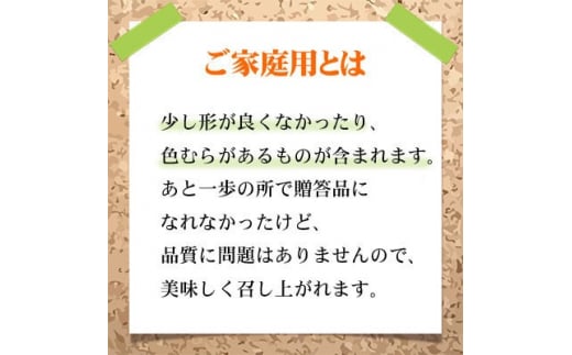 ＜先行予約＞【2024年8月発送開始】ご家庭用 シャインマスカット 晴王 400g×2房 TY0-0314