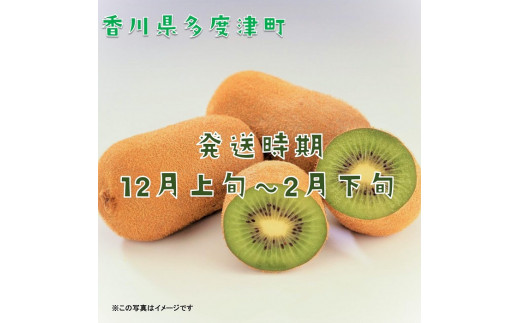 香川県オリジナルキウイフルーツ「香緑」約3.5kg【予約受付中！令和6年11月下旬頃から発送】【B-31】