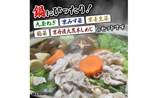 京野菜 鍋もの セット 詰め合わせ 5種 京都 九条ねぎ 京みず菜 京壬生菜 しゅんぎく 菊菜 京丹波 大黒本 しめじ 寄りすぐり