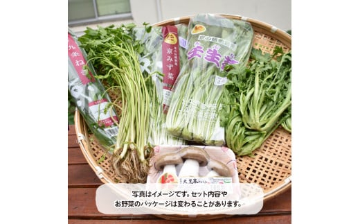 京野菜 鍋もの セット 詰め合わせ 5種 京都 九条ねぎ 京みず菜 京壬生菜 しゅんぎく 菊菜 京丹波 大黒本 しめじ 寄りすぐり