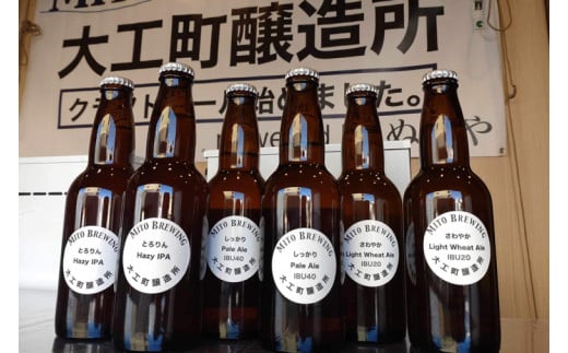 クラフトビール　6本詰め合わせ【お酒 クラフトビール ビール ふるさと納税 水戸市 茨城県】（GW-1）