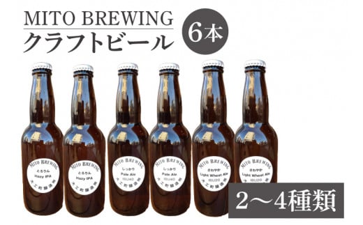 クラフトビール　6本詰め合わせ【お酒 クラフトビール ビール ふるさと納税 水戸市 茨城県】（GW-1）