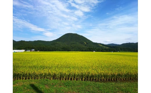 自然と土壌が豊かな岩手県西和賀町沢内地区で育ったお米です。