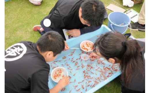 九州金魚すくい選手権（団体戦）