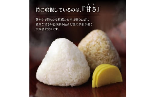 令和6年産 新米 定期便 ミルキークイーン 5kg×6ヶ月 十六代目米師又八 謹製  (  6回  計30kg 2024年産  ブランド 米 定期便 rice 精米 白米 ご飯 内祝い 十六代目米師又八 謹製 もちもち 国産 送料無料 滋賀県 竜王 ふるさと納税 )