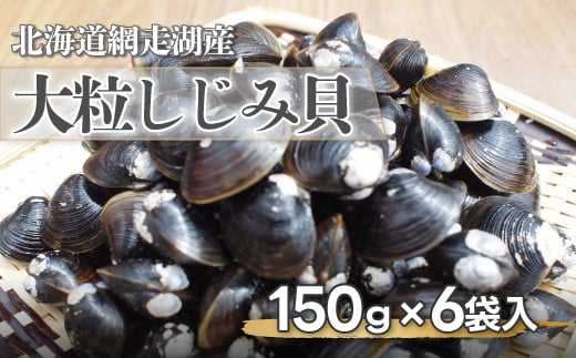 網走湖産大粒しじみ貝150g×6袋 【 ふるさと納税 人気 おすすめ ランキング しじみ シジミ 蜆 しじみ貝 シジミ貝 貝 北海道しじみ 北海道シジミ しじみ北海道 シジミ北海道 大粒 汁 味噌汁 網走湖 網走湖産 北海道 網走市 送料無料 】 ABF012