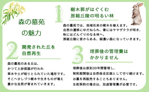 「森の墓苑」合葬墓こなら永代使用権 ふるさと納税 お墓 お骨 埋葬 千葉県 長南町 CNI002