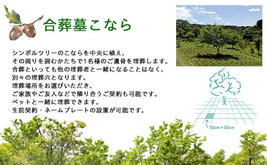 「森の墓苑」合葬墓こなら永代使用権 ふるさと納税 お墓 お骨 埋葬 千葉県 長南町 CNI002