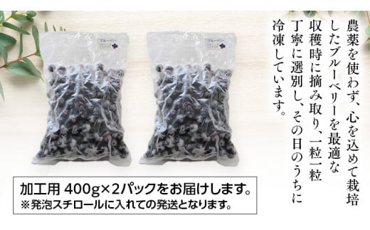 つくばみらい市 産 冷凍 ブルーベリー 800g ( 400g ×2パック ) 国産 農薬無使用 自家農場 果物 就労継続支援 フルーツ おいしい 冷凍ブルーベリー フリーズ