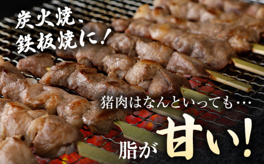 猪肉焼肉セット約1.8kg（猪バラスライス約200g×3、猪肩ローススライス約200g×2、猪背ローススライス約200g×1、猪串焼き用約300g×2）ジビエ 猪 いのしし スライス 串 焼肉 アウトドア BBQ みやこ肉 獣