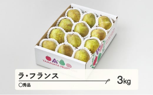 ラ・フランス〇秀品 約3kg(6~12個程度) ご家庭用 洋梨  2024年産 山形県産 ※沖縄・離島への配送不可 tf-lamxx3