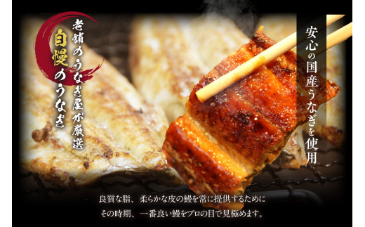 国産特大うなぎ長焼き１尾(約２５０ｇ)（1662）