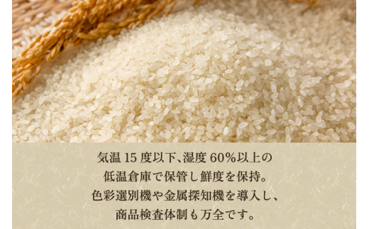 【令和6年産新米先行予約】【定期便6ヶ月毎月お届け】5分づき 特別栽培米 コシヒカリ 精米 20kg（5kg×4） 従来品種コシヒカリ 加茂有機米生産組合 新潟県 加茂市産 白米 米 お米 定期便