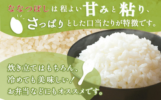 【3回定期便】合鴨農法ななつぼし 【胚芽米仕様精米】【有機肥料/無農薬・無化学肥料･備蓄用】令和６年度米 正味10kg(1kg×