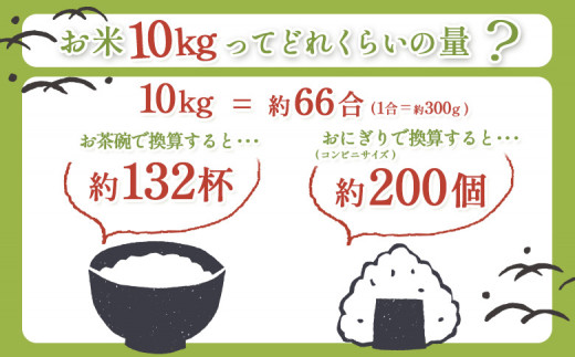 【3回定期便】合鴨農法ななつぼし 【胚芽米仕様精米】【有機肥料/無農薬・無化学肥料･備蓄用】令和６年度米 正味10kg(1kg×