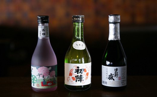 ＜発送月固定定期便＞《地酒飲み比べ》3つの蔵元・ミニボトル3本セット(奇数月発送)全6回【4058354】